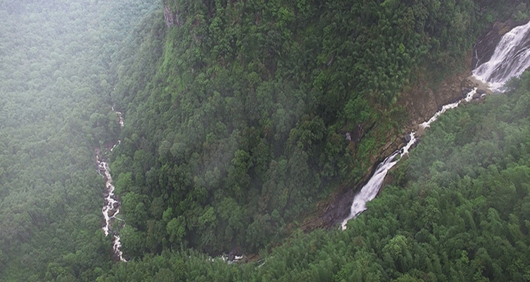 Meenmutty waterfalls wayanad