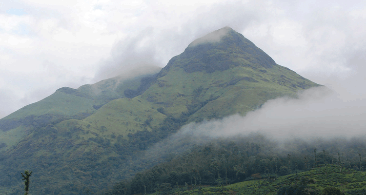 Neelimala Viewpoint