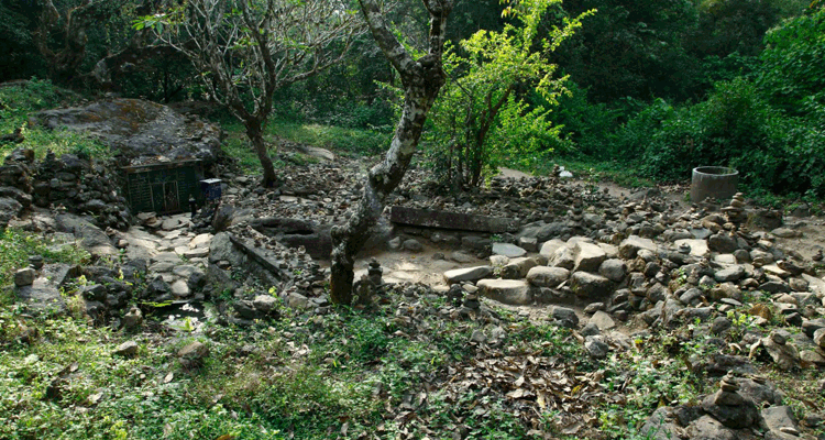 Papanasini Wayanad