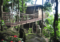 cebele hill resort tree house