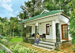 the woods resort wayanad